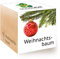 Feel Green Ecocube Weihnachtsbaum/Xmas Tree, Nachhaltige Geschenkidee (100% eco friendly), Grow Your Own/Anzuchtset, Pflanzen Im Holzwürfel, Made in Austria