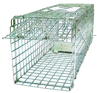 24 Small Collapsible Humane Live Animal Cage Trap No-Kill Trapping Kit for Humane Catch Release Rodent Small Cat, Rabbits, Squirrel, Opossum, Squire, Raccoon, All Fit Sized Animals, 2-Doors