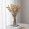 FANNAS Pampas Secas Decoracion 60 Piezas de Flores Secas Naturales Decoración, Pampa Hierba Hierba Cola de Conejo Hierba Boho Decor Super Fluffy for Home Decor, Decoracion Boda (Color Natural)