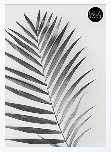 pf+a A2 (59.4x42cm) Poster Frame - Perspex Window - Oxford White Thin Poster Frame For A2 / 59.4 x 42cm