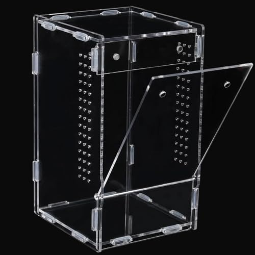 Hperu hoppande spindel livsmiljö inhägnad spindel terrarium transparent amfibie akryllåda för spindlar, leddjur, amfibier – hoppkit