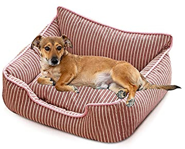 PETCUTE Cama Gato y Perros Pequeños,Camas para Perros,Ortopédica Cama para Perros de Espuma Viscoelástica con Funda extraíble,Sofá Cama para Mascotas Lavable y Antideslizante
