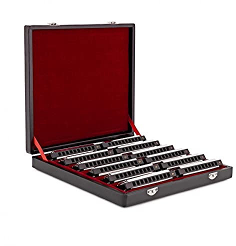 Gear4music 12-teiliges chromatisches Mundharmonika-Geschenkset mit Etui - Silver