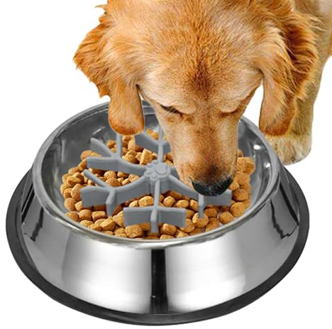 Hitburu Slow Feeder Dog Bowls - Anti-choking Bowl | Preventing Choking Dishes Silicone Stainless,for Water Feeding Eating Small Large Medium Breed Dogs Puppy Pet Cat