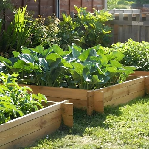 Primrose 350L The Chamberlain Wooden Raised Outdoor Grow Bed Flower Bed Height 35cm 100cm²