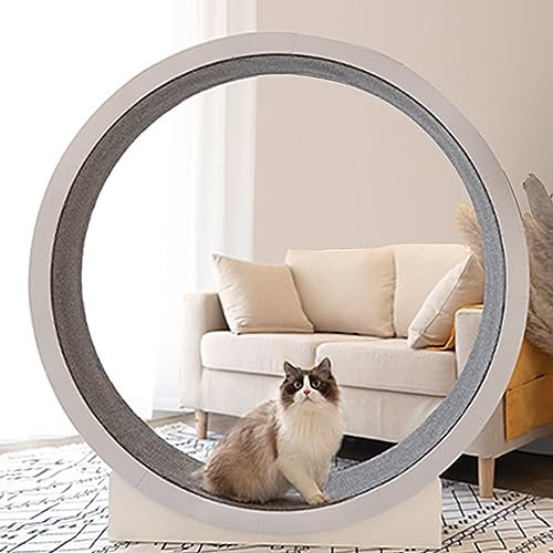 SKIHOT Katzenlaufrad Großes Laufrad Für Katzen 120cm,Katzenlaufrad Für Wohnungskatzen,Indoor-Übungsspielzeug Für Kleine/Mittelgroße,Cat Treadmill