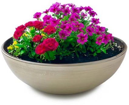 matches21 - Ciotola decorativa moderna per esterni, in stile champagne, laminata come vaso da fiori, 20 x 7,5 cm, per decorazione da giardino, per balcone, soggiorno