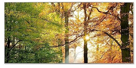 banjado® Magnettafel silber 78 x 37cm / Magnetwand aus Metall/Magnetpinnwand Memoboard/Pinnwand Magnettafel Küche, Büro, Kinderzimmer inkl. 4 Magnete & Montageset Motiv Herbstwald