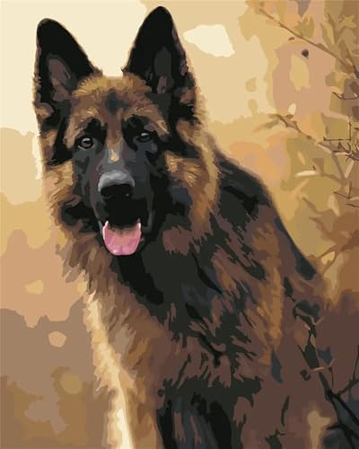 Cooiiye Deutscher Schäferhund Malen Nach Zahlen Erwachsene DIY ohne Rahmen Handgemalt Ölgemälde Leinwand Kits mit Pinsels und Acrylfarbe Pigment Paint by Numbers für Home Wand Decor Geschenk 40x50 cm