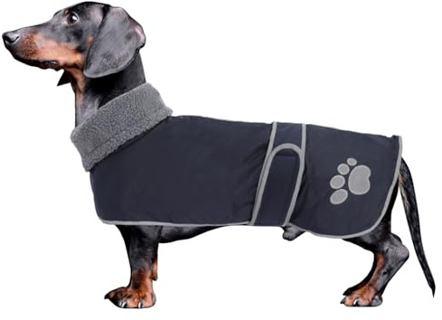 Geyecete-Hunde Wintermantel fur Dackel,Hundejacken mit plüschfutter und Kabelbaumloch,Wasserdichter Winddicht, reflektierend Outdoor Hundekleidung fur mittel und Kleiner Dackel Hund-Navy Blau-M
