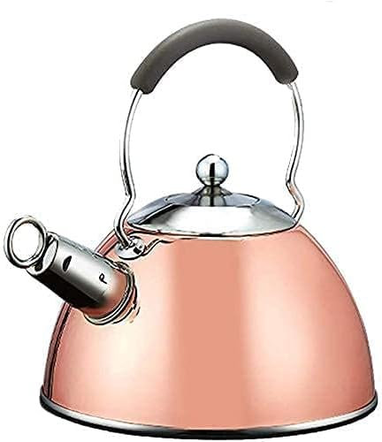 Bollitore da campeggio Teiere per fornelli Bollitore da campeggio Creatività Teiera con fischio Fornello elettrico a gas in acciaio inossidabile Bollitore Teiera da campeggio Teiera riscaldante