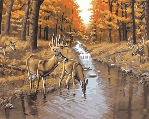 Yoonqun Herbst Wald Hirsch Malen Nach Zahlen,45x60cm Malen Nach Zahlen Erwachsene DIY inklusive Pinsel und Acrylfarben Handgemalt Ölgemälde Kit Startseite Wandkunst Dekoration mit Rahmen