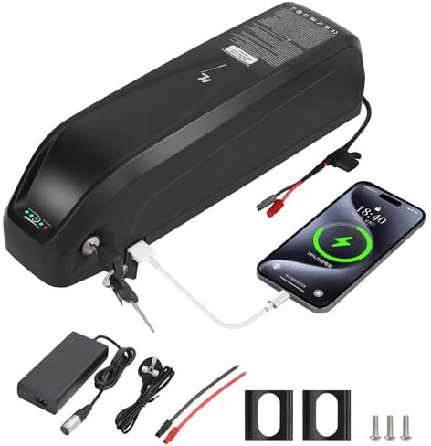 R TEAM Ebike Battery 48v 15AH with Charger, USB Port, Lithium Electric Bike Battery for 1000W 750W 500W 250W Motor (Bafang, AW, most ebike conversion kit)