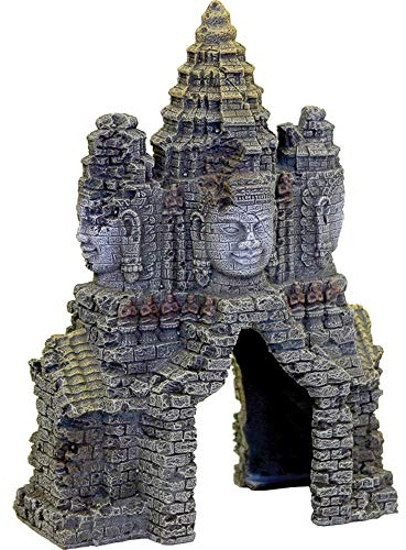 Rosewood Décor pour Aquarium Temple d'Angkor Wat