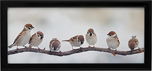 Neil Enterprises Inc. Classic Black Panoramic 24 x 10 Picture Frame