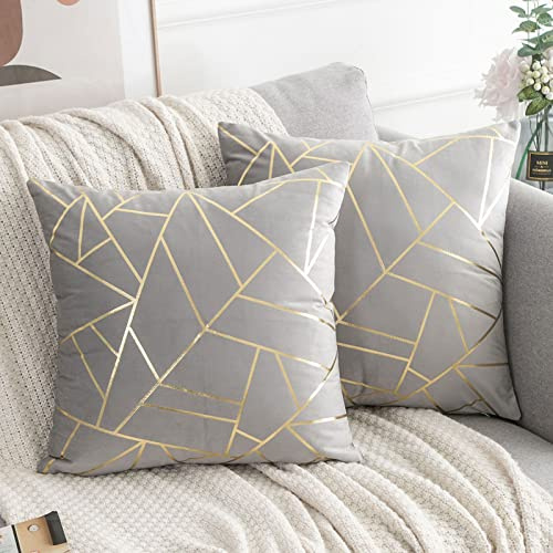 Cuscini per Divano 45x45 cm Grigio Cuscini per Divani Moderni Confezione 2 Federa in Velluto di Lusso 18x18 inch per Camera da Letto