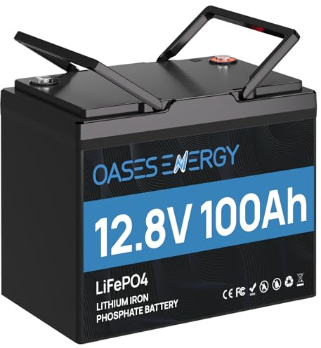 Oasesenergy LiFePO4 Lithium Batterie 12V 100Ah Mini mit 100A BMS und 4000~15000 Zyklen, 10 Jahre Lebensdauer, 12V LiFePO4 Akku 1280Wh für Wohnmobil, Solarpanel Kit,Backup-Strom, Camping, Boot