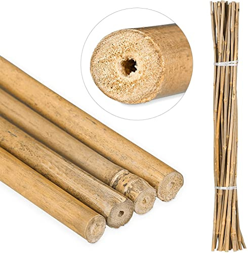 Suinga Set di 75 Tutori in Bambù per Piante 120 cm (10-12 mm) – Canne di Bambù, Supporti per Ortaggi, Pomodori, Alberi e Giardinaggio