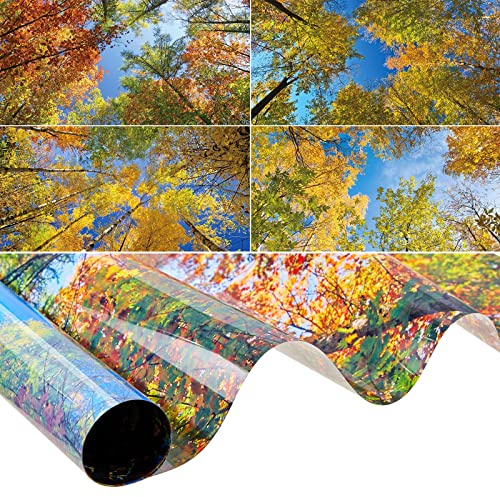 Amylove 4 Pcs Fluorescent Light Covers Classroom Ceiling Panels Light Filters with Backlit Film Material for Office School, 4 x 2 Feet(Modern Color,Fall Trees)
