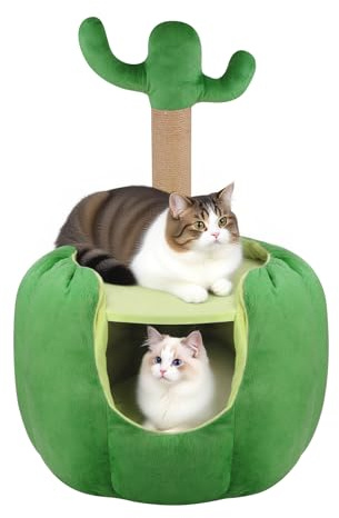Qlfyuu Cat Tree Cactus m