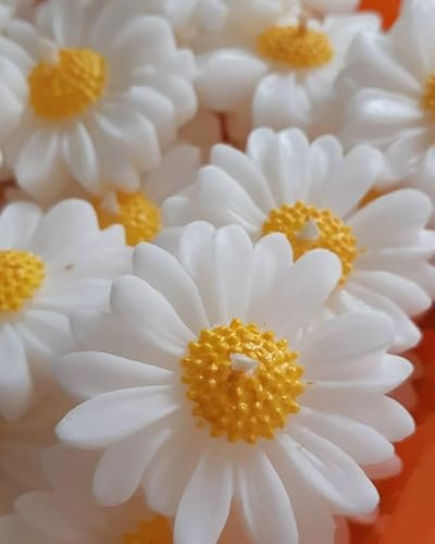 Candela galleggiante decorativa a forma di margherita, bianca e gialla, design floreale, decorativa, rilassante, lenitiva, confezione da 1 (giallo)