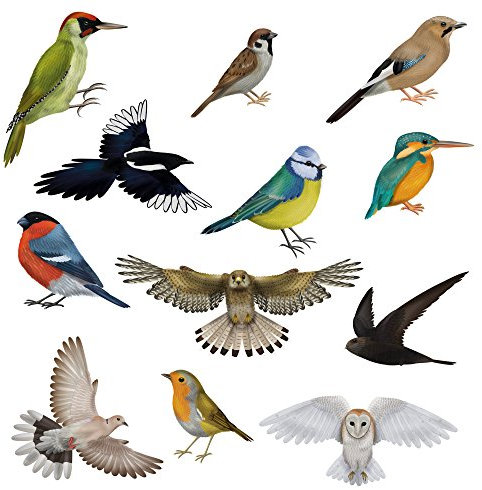 Articlings 12 Brilliant Bird Window Clings 11 Different Birds & 1 Owl - Non-adhesive Stickers - Quickly Decorate and Brighten your Windows