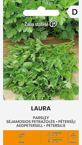 Zalia Stotele | Perejil - Semillas de Laura | Semillas de hortalizas | Semillas de plantas | semillas de perejil | Un perejil simple y plano | Ideal para maceta | 1 paquete
