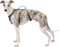 Huntboo Hunde Sicherheitsgeschirr, Rutschfestes Hundegeschirr Escape Proof, Reflektierendes Geschirr mit Griff, Atmungsaktiv, Langlebig, Verstellbare Weste für Mittelgroße Hunde (Schwarz, M)