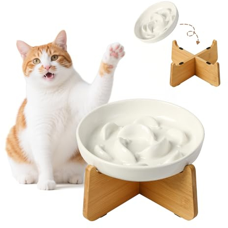 Elevated Slow Feeder Cat Bowl - Ceramic Cat Food Dish with Anti-Slip Bamboo Stand - Whisker Friendly Feeding Bowl - Raised Maze Plate for Slow Down Eating - Ivory White