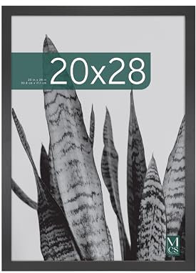 MCS Studio Gallery 51x71 cm (20x28 in) Poster Frame Black Woodgrain, Vertical & Horizontal Wall Hanging Large Picture Frame for Photos, Posters & Art Prints (1-Pack)