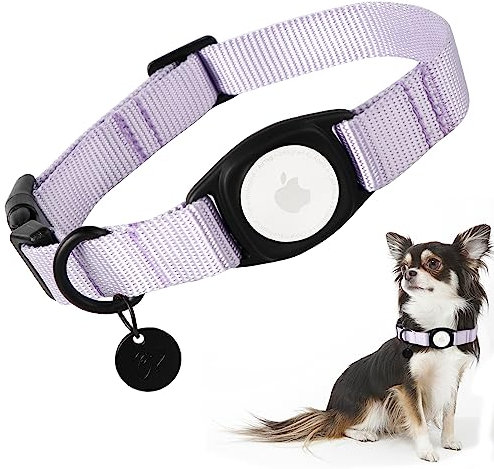 Babole Pet AirTag Hundehalsband für kleine Welpen, Nylon, integriertes GPS-Halsband mit robuster Schnappschnalle, Hunde-Tracker für Apple iPhone, mittelgroße und große Jungen, Mädchen und Hündinnen