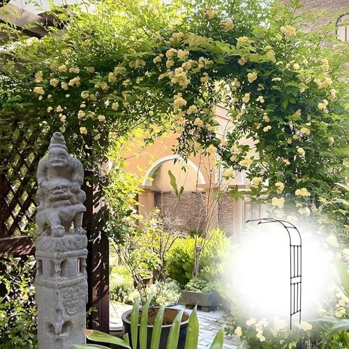 Schwer Gartenbogen Stabil Rosenbogen Halbrund Rankbogen Für Kletterpflanzen Witterungsbeständig Torbogen Für Garten Geburtstage Hochzeiten Freie Montage(Schwarz,240cm x 240cm/7.9ft x 7.9ft)