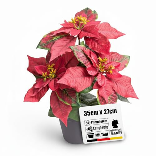 künstliche Poinsettia (Weihnachtsstern) rot-grün mit 3 Blüten im schwarzen Kunststofftopf, Höhe ca. 35 cm – die Kunstblume Poinsettie sorgt zwischen Weihnachtsdekorationen für festliche Stimmung