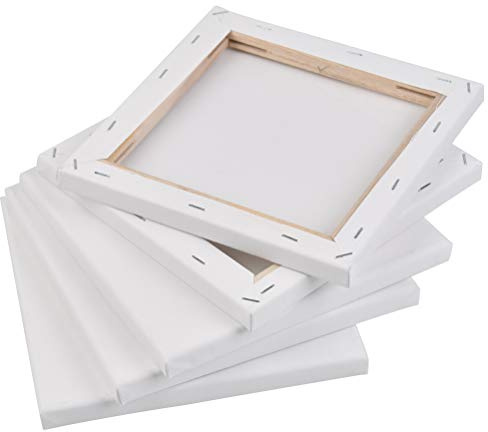 Leinwände Quadratisch 5 Stück TIMESETL Leinwand zum Bemalen 20x20cm Leinwand Keilrahmen Quadratisch Set Leinwand mit Holz, Quadratisch Leinwand zum Bemalen aus Baumwolle, Leinwände für Acrylfarben