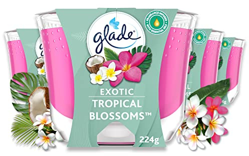 Glade Langanhaltende Duftkerze im Glas, Exotic Tropical Blossom, 4er Pack (4x224 g)