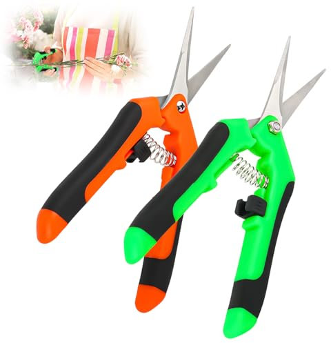 2 Pezzi Forbici da Giardino,Forbici da Potatura,Forbici per Piante in Acciaio Inox,Forbici Potatura per Bonsai Piante, Fiori, Raccolta Frutta, Verdur