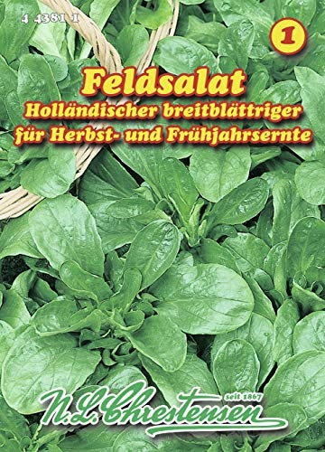 N.L. Chrestensen 443811 Feldsalat Holländischer breitblättriger (Feldsalatsamen)