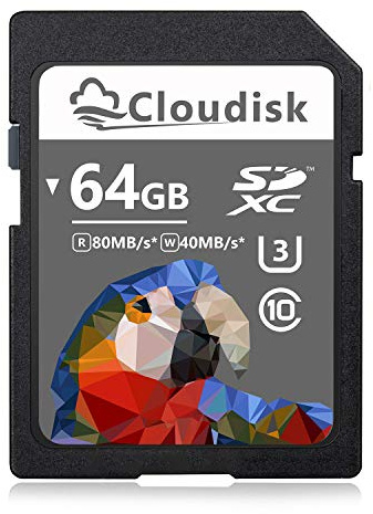 Cloudisk SD Card (64GB)