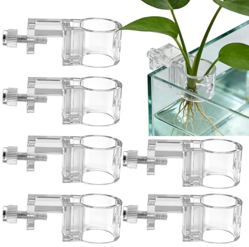 Aimeke® 6 piezas soporte para plantas de acuario genérico accesorios (M) | Soporte transparente para PC, accesorio para plantas, decoración para plantas de acuario
