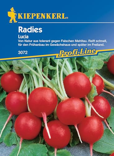 Kiepenkerl Profi-Line Radieschensamen Lucia, F1 3072 - tolerante Sorte - schnellreifend - Samen Gemüse, Gemüsesamen, Gemüse Pflanzen, Saatgut