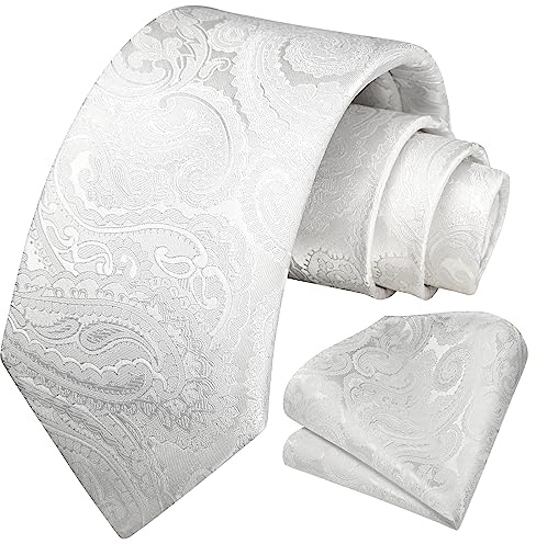 HISDERN Herren Krawatte Taschentuch Blume Paisley Hochzeit Krawatte & Einstecktuch Set