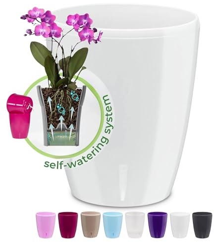 Happyplants ORCHIDEA Clear Orchid Self-Watering Flower Pot Planter With Water Level Indicator Water Reserve And Drainage Holes (Ø12.5CM Ø15CM Ø16.5CM) (White, Ø 16.5CM - 3.3L)
