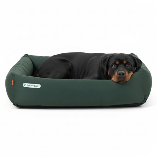 Doctor Bark Hundebett Orthopädisch - Waschbar bis 95°C, Geruchsfrei & Hygienisch - Kuscheliger Hundekorb Grosse Hunde mit Hundematratze (XXL - 110x100 cm, Grün)