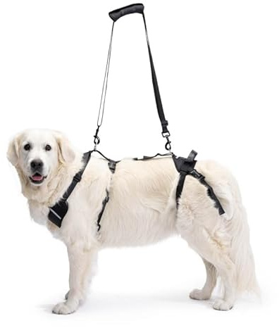 Ortocanis - Ganzkörper-Hundegeschirr zur Unterstützung von Vorder- und Hinterbeine, Größe M