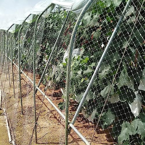 Filet De Protection Anti-Oiseaux pour Jardin, Grillage Anti-Oiseaux Commercial pour Plantes, Arbres Fruitiers Et Fraisiers, Barrière en Plastique Robuste pour Animaux, Blanc (3 X 5 Mètres/9,84 X 16,4
