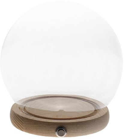 OKUMEYR 1set Vetrina Con Base Per Fiori Immortali Decorazione Luminoso Per Eventi e Festività Con Interruttore Non Inclusa Batteria
