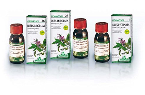 Specchiasol Integratore Alimentare Gemmoderivato Di Lampone, 50 ml, 50 millilitro