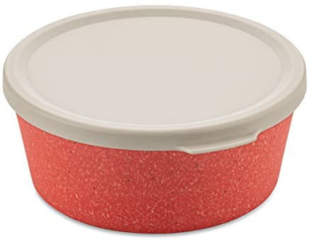 Koziol Bowl 890 ml mit lid Connect Bowl 0,9 mit Deckel