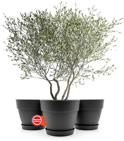 BigDean 3 Stück Blumentopf mit Untersetzer rund ø40 cm in Anthrazit | Übertopf innen + außen geeignet – aus bruchsicherem Kunststoff & Made in Europe