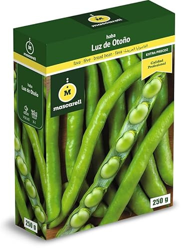 Mascarell Semillas, HABA LUZ DE OTOÑO EXTRAPRECOZ, Semillas Leguminosas, Fácil de Cultivar en Casa, 250 G.